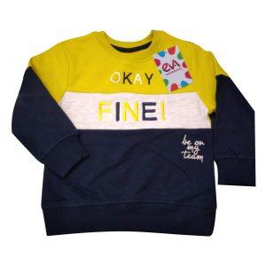 Kids Sweatshirt